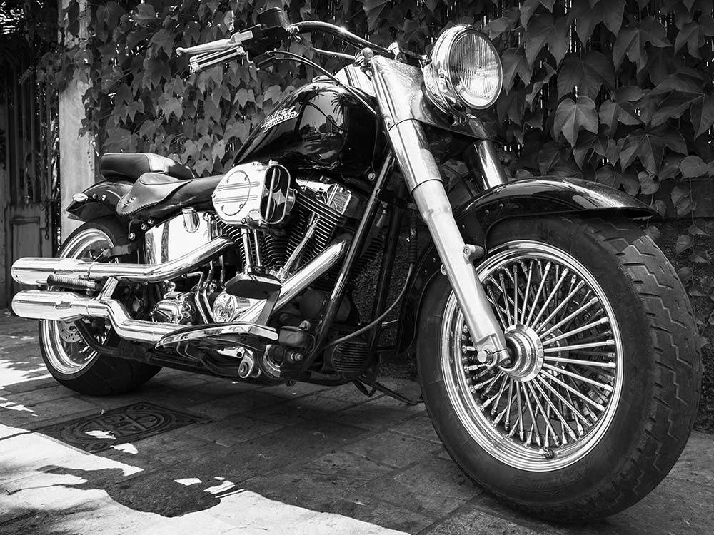 Are-Harley-Davidson-Motorcycles-Too-Powerful-for-Beginners