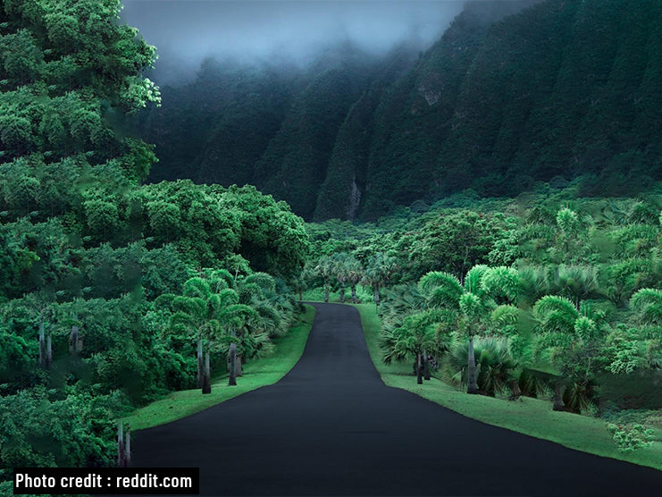 Best Motorcycle Roads & Destinations in Hawaii, United States