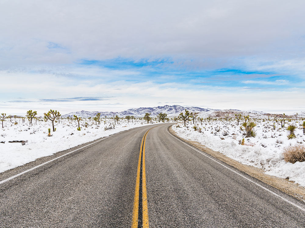 Reasons California is Ideal for Motorcycle Rides During the Winter