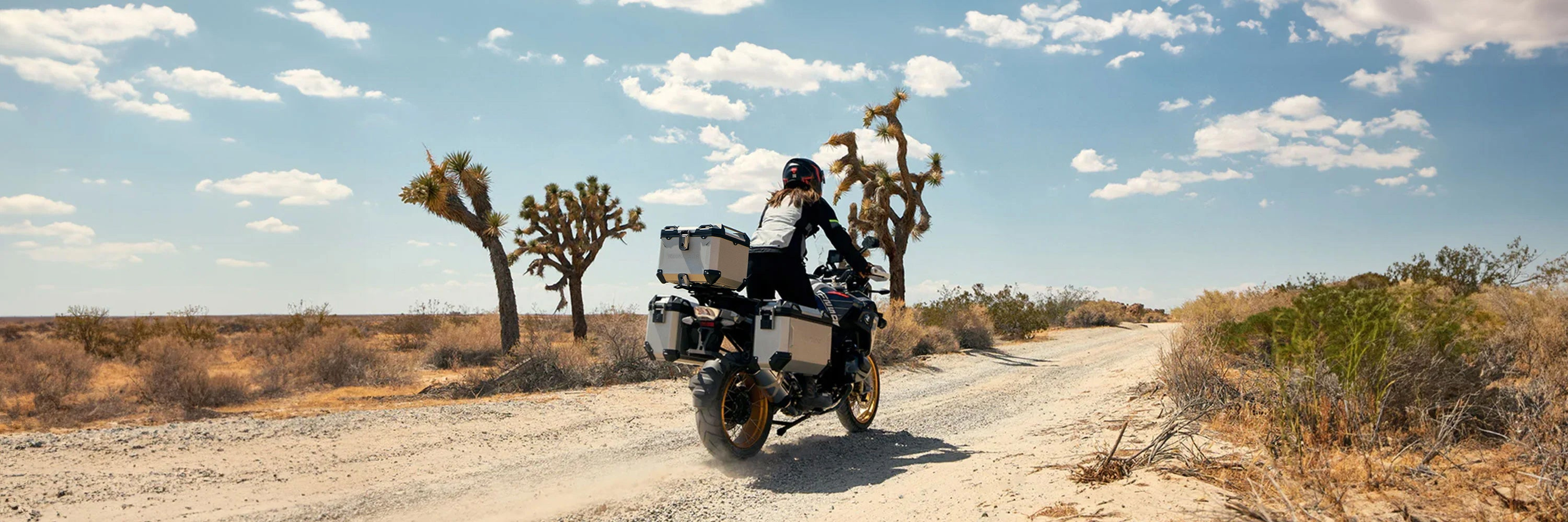 Triumph Tiger 800 Adventure Touring Side Cases