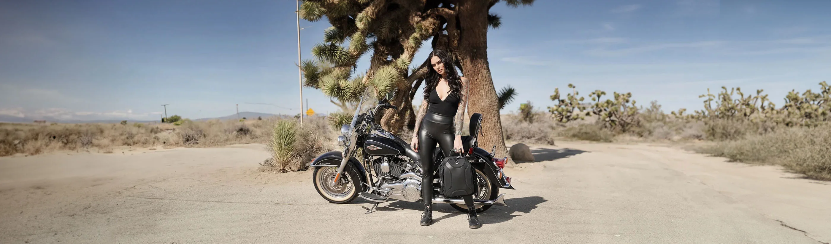 Sissy Bar Bags for Ducati Motorcycles