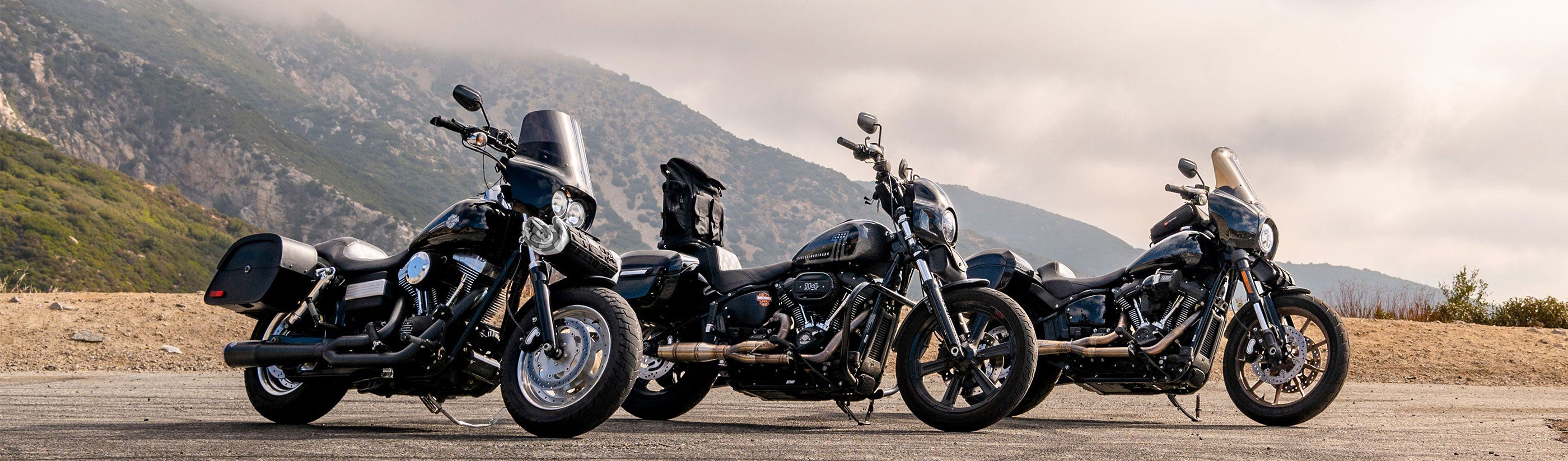 Harley Davidson Dyna Low Rider S FXDLS Saddle Bags