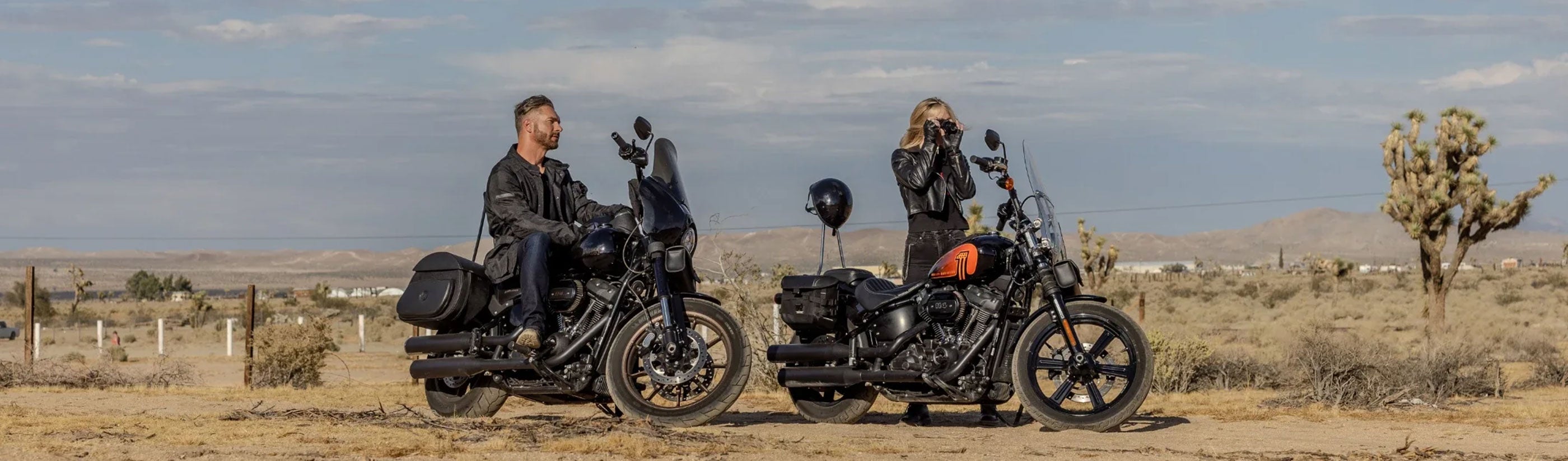 Harley Davidson Dyna Switchback FLD Hard Saddlebags