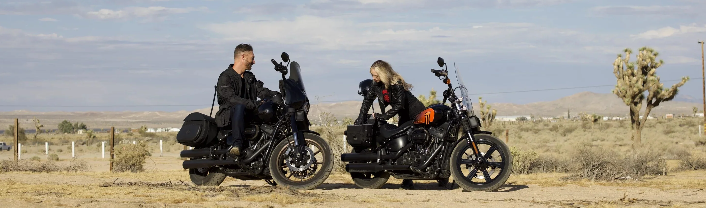 Harley Davidson Softail Saddlebag Lids & Covers