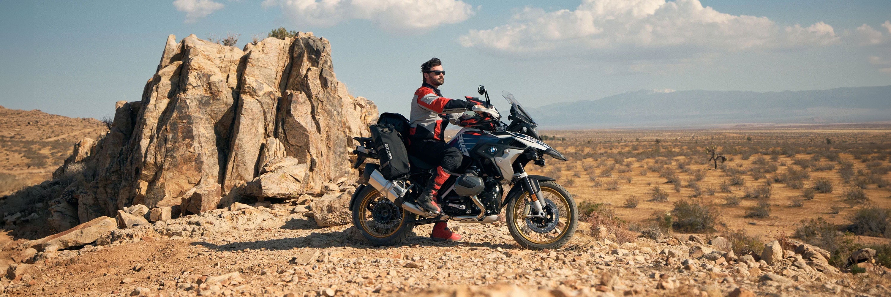 Dual Sports with Rack Luggage Bags