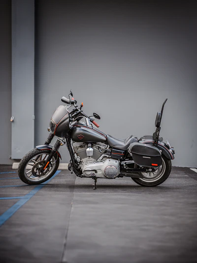 Harley Davidson Dyna Super Glide Custom FXDC/I Saddle Bags