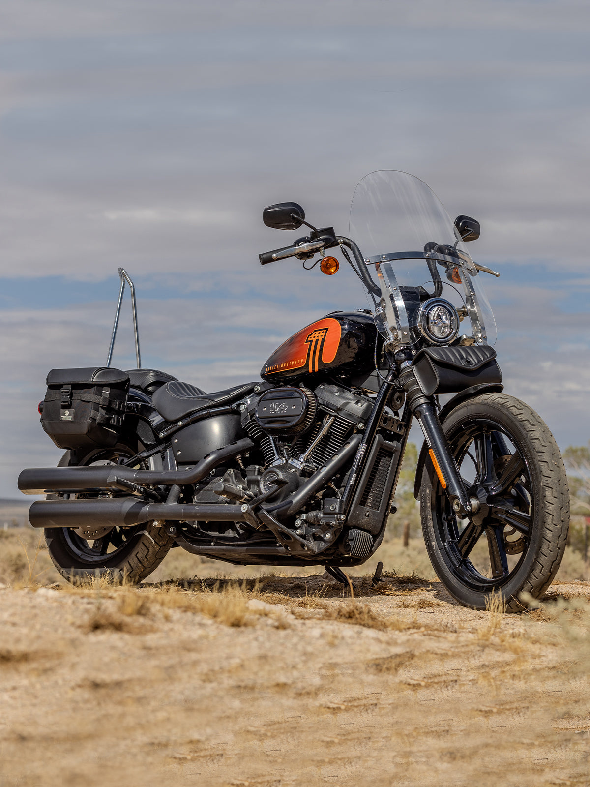 Harley on sale softail bags