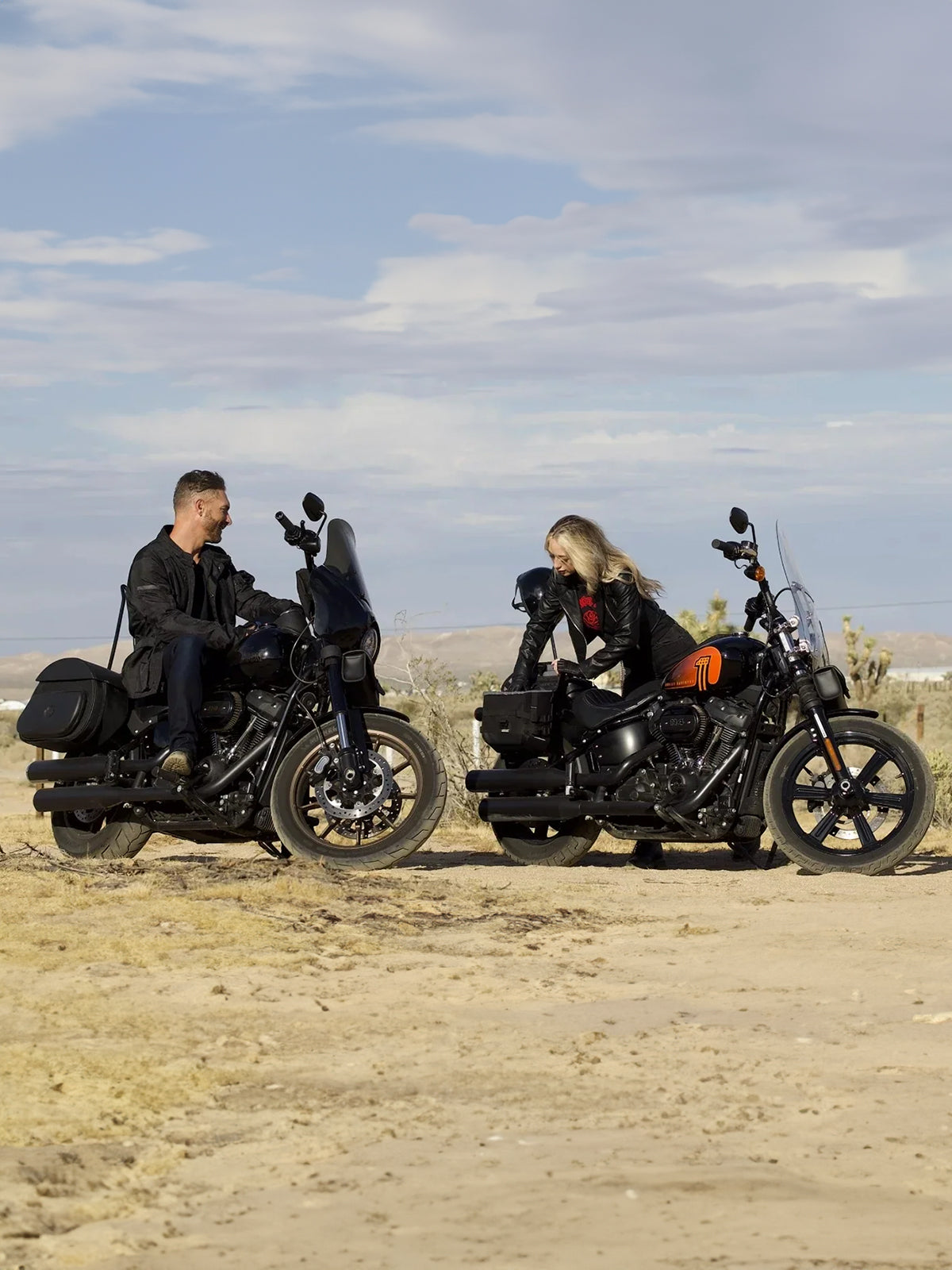 Harley Davidson Saddlebag Extensions