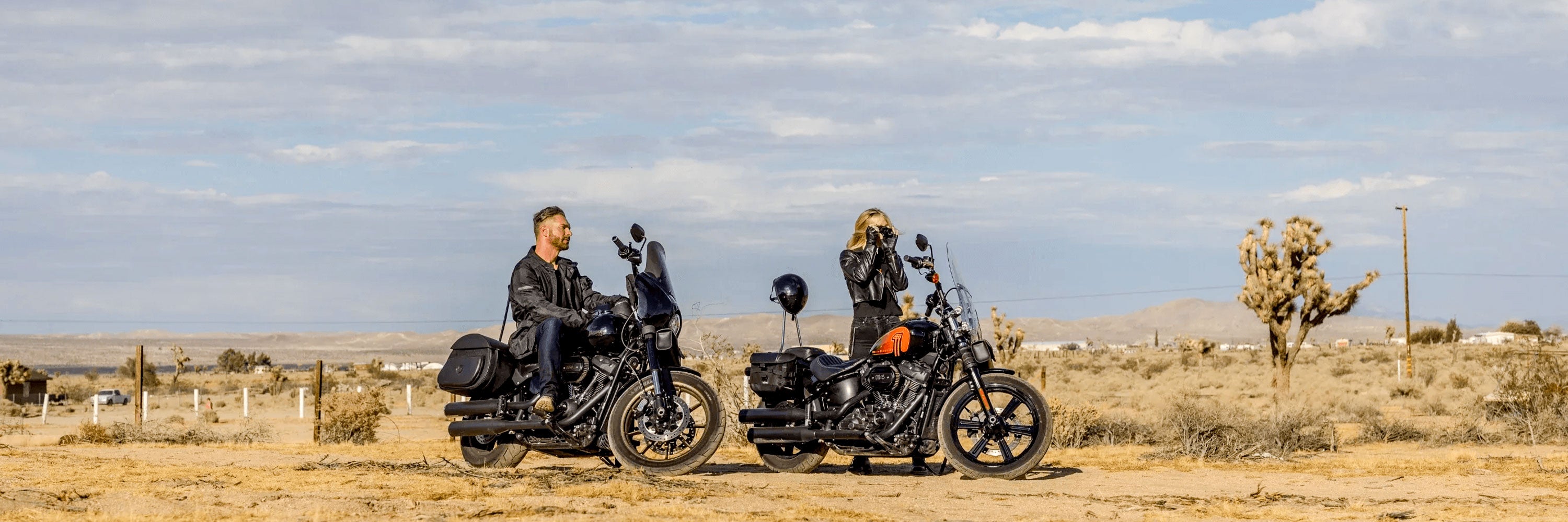 Harley Davidson Saddlebag Lids & Covers