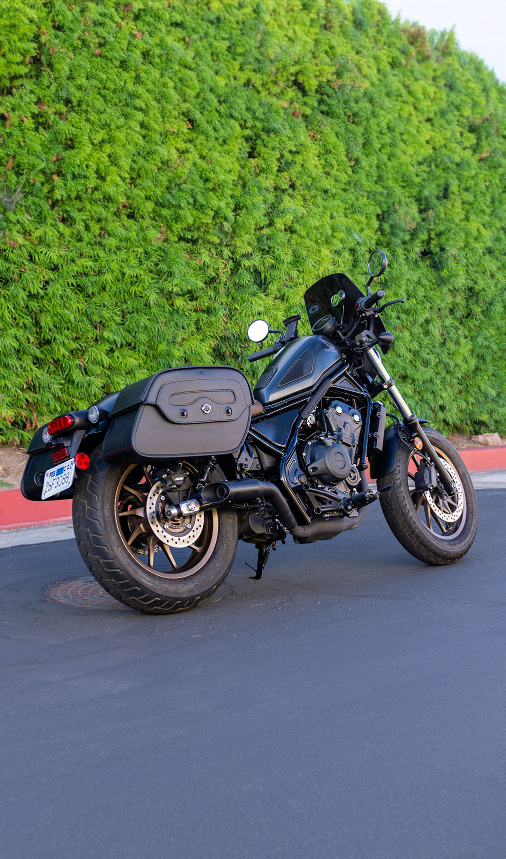 Honda rebel best sale 300 saddlebags