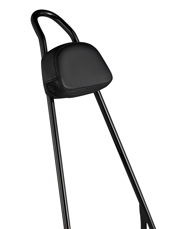 Viking Iron Born 20" Sissy Bar with Backrest Pad for Harley Sportster Super Low XL883L Gloss Black Close Up View